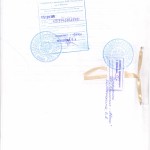 устав 13